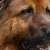 Commenter's Avatar