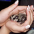 Commenter's Avatar