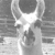 Commenter's Avatar