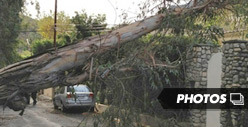 Eric Dane & Rebecca Gayheart -- Insane California Winds Knock Tree Down on Their House