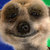 Commenter's Avatar