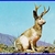Commenter's Avatar