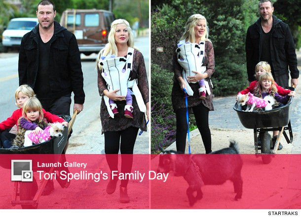 1214_spelling_launch