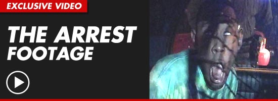 1223_arrest_footage_sub_exv