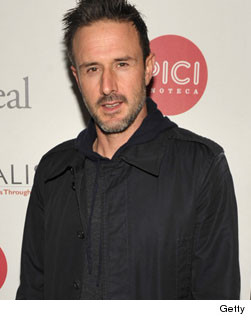 1230_david_single