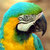 Commenter's Avatar