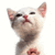 Commenter's Avatar