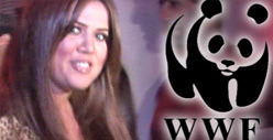 Khloe Kardashian Rescues Tigers with One Finger