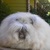 Commenter's Avatar