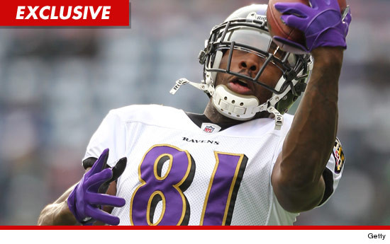 Anquan Boldin
