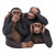 Commenter's Avatar
