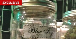 Blue Ivy Weed Sprouting Up in LA Marijuana Shops