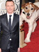 10 Burning Questions From the Golden Globes Answered: #5-1