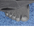 Which Actress Wore Bizarre Toe Shoes to Globes Party?