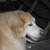 Commenter's Avatar