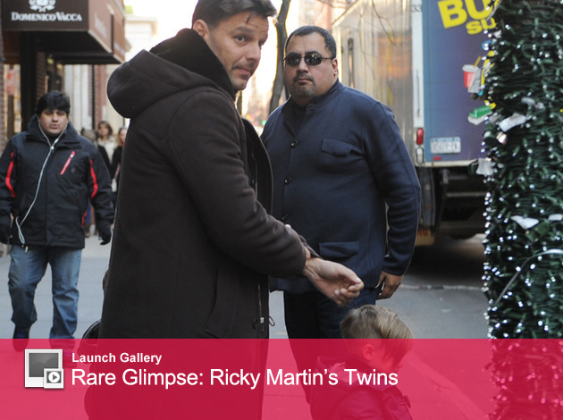 0125_rickymartin_homepage