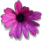 Commenter's Avatar