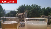 'Fear Factor' -- NBC Debating Donkey Semen ... Episode in Jeopardy