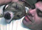 Struggling Soap Actor Nick Santino Commits Suicide After Euthanizing Beloved Dog