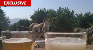 'Fear Factor' Staffers -- Killing Donkey Semen Episode Was an Expensive Mistake
