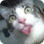 Commenter's Avatar