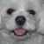 Commenter's Avatar