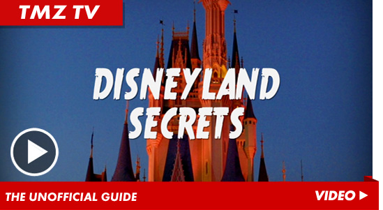 030112_disney_launch