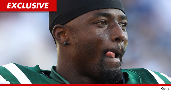 0309_santonio_holmes_EX_01