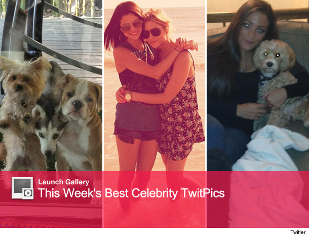 Miley Cyrus puppies