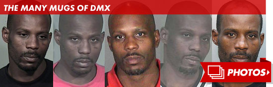 0322_dmx_mugshots_footer