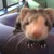 Commenter's Avatar