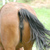 Commenter's Avatar