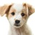 Commenter's Avatar