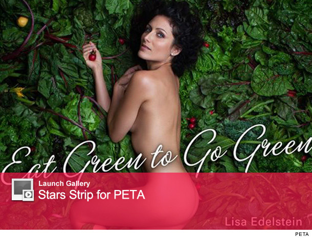 0411_peta_launch