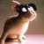 Commenter's Avatar