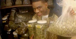 Soulja Boy -- I've Hit The Marijuana MOTHER LODE!!!!