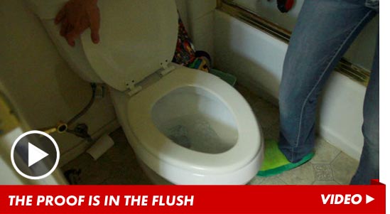 0426-octomom-proof-flush