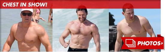 0504_chest_in_show_footer