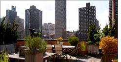 Star Jones --  My Gross Apartment ... Is a GOLD MINE!! 