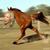 Commenter's Avatar