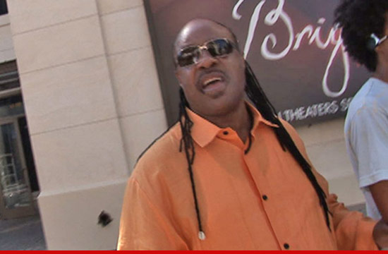 0511_stevie_wonder