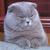 Commenter's Avatar