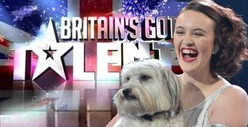 'Britain's Got Talent' Dog -- Fetches Million-Dollar Offers