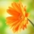 Commenter's Avatar
