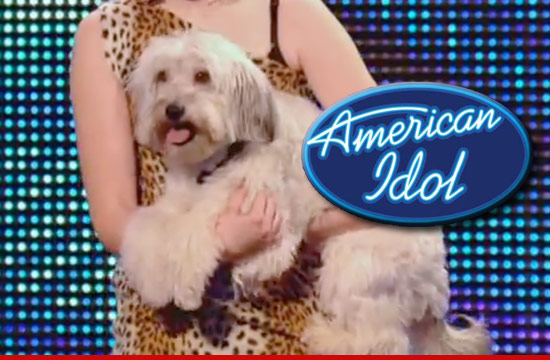 0519_pudsey_britains_got_talent_AI