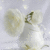 Commenter's Avatar