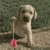 Commenter's Avatar