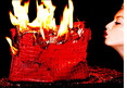 Clint Eastwood's Daughter -- BURNS $100k Handbag ... For the Hell of It!