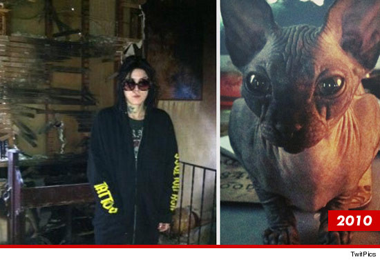 0529_kat_von_d_cat