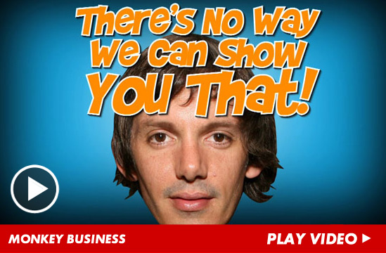 0530_MONKEY-BUSINESS_video_launch